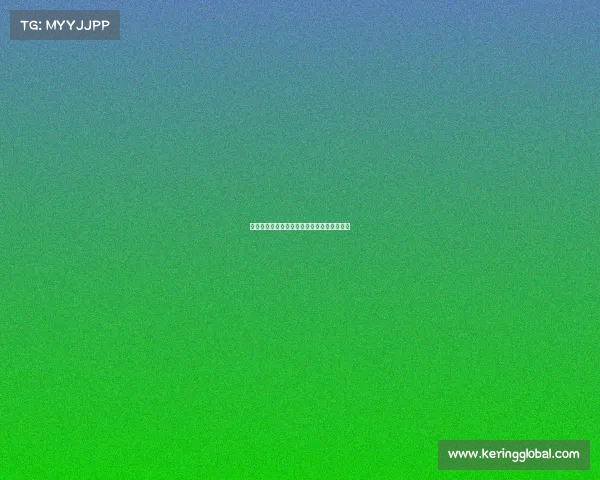 国际足联俱乐部世界杯鹿岛鹿角土居圣真助攻