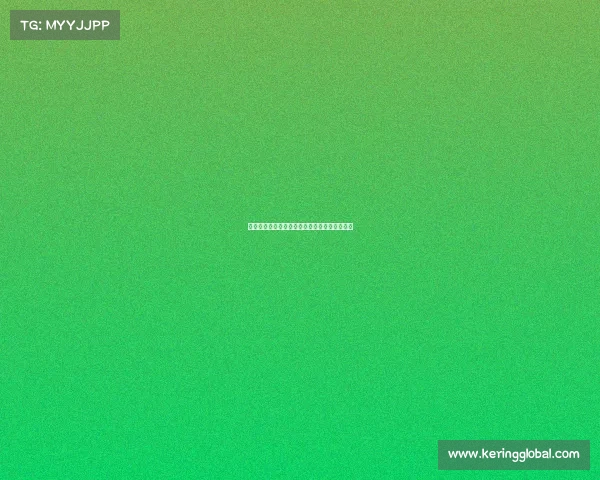 怀特签下合同解析:保障金额与交易选项的深意 怀特签下合同解析:保障金额与交易选项的深意