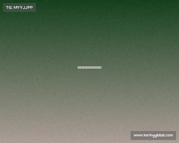 拜仁再创佳绩，德甲领头羊保持不变